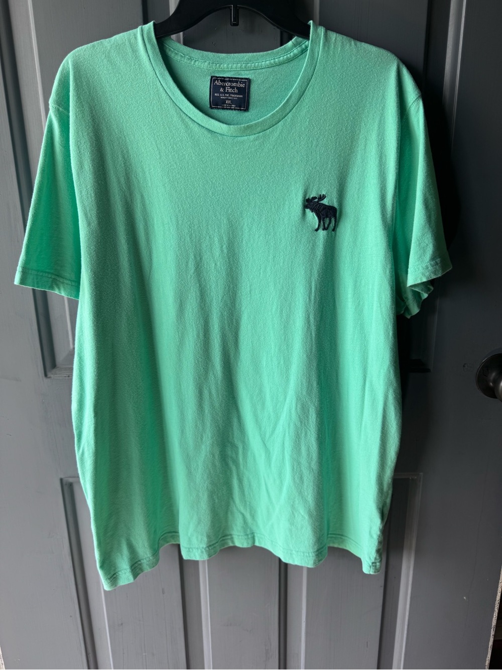 Abercrombie & Fitch Men's Mint Green Moose Logo T-Shirt Short Sleeve Crew Neck